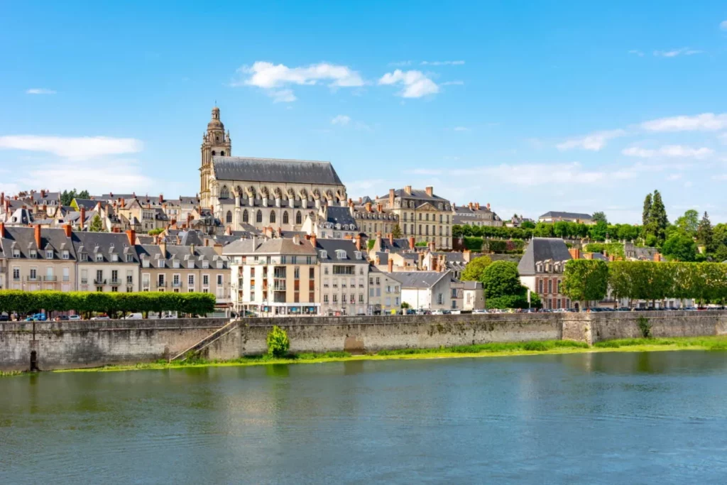 Blois et la cathédrale Saint-Louis vues depuis la Loire