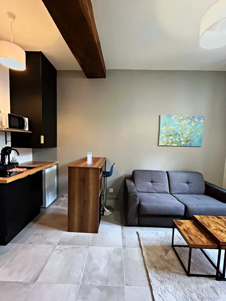 Pièce de vie du studio Cour de Loire